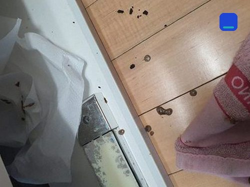 대방동 하수구막힘 싱크대막힘